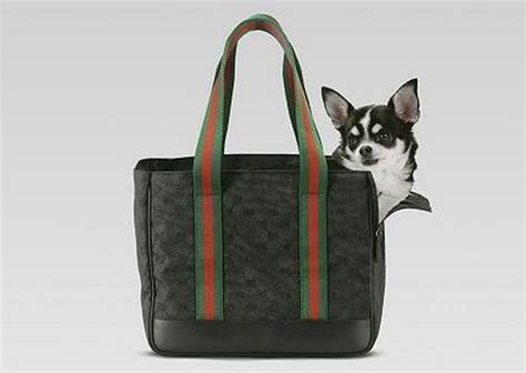 gucci cane sespo e ros|gucci handbags.